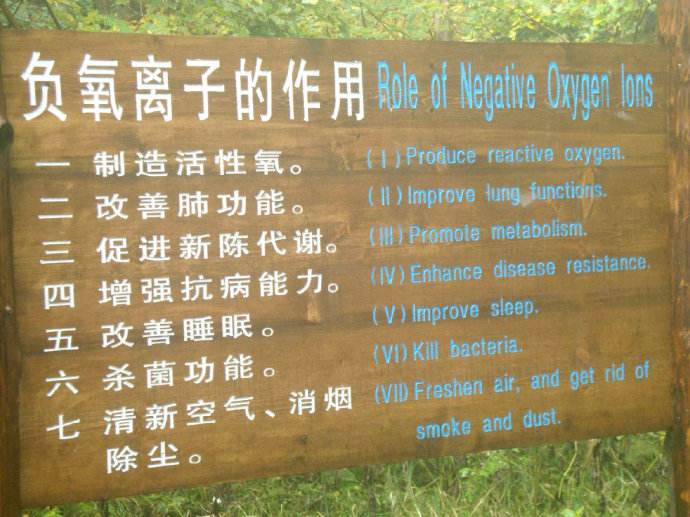森林大環境監測為什么要做負氧離子監測項？