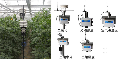 【智慧農業物聯網百科】傳感器在農業物聯網系統建設中的重要作用