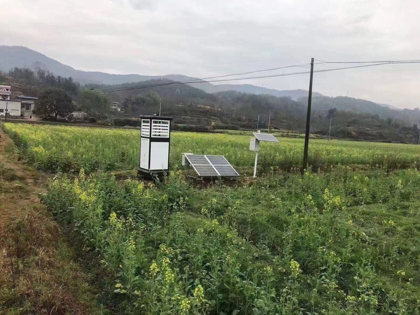 智能物聯網測報燈 無線可視化測報燈 遠程拍照式蟲情測報燈