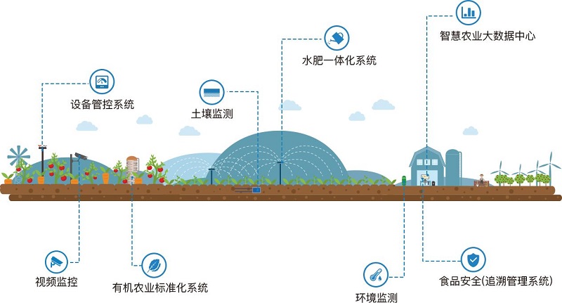 高標準智慧高山茶園解決方案